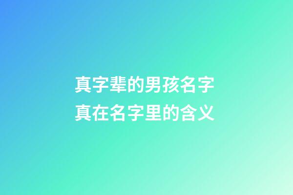 真字辈的男孩名字 真在名字里的含义